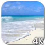 Logo of Paradise Video Live Wallpaper android Application 